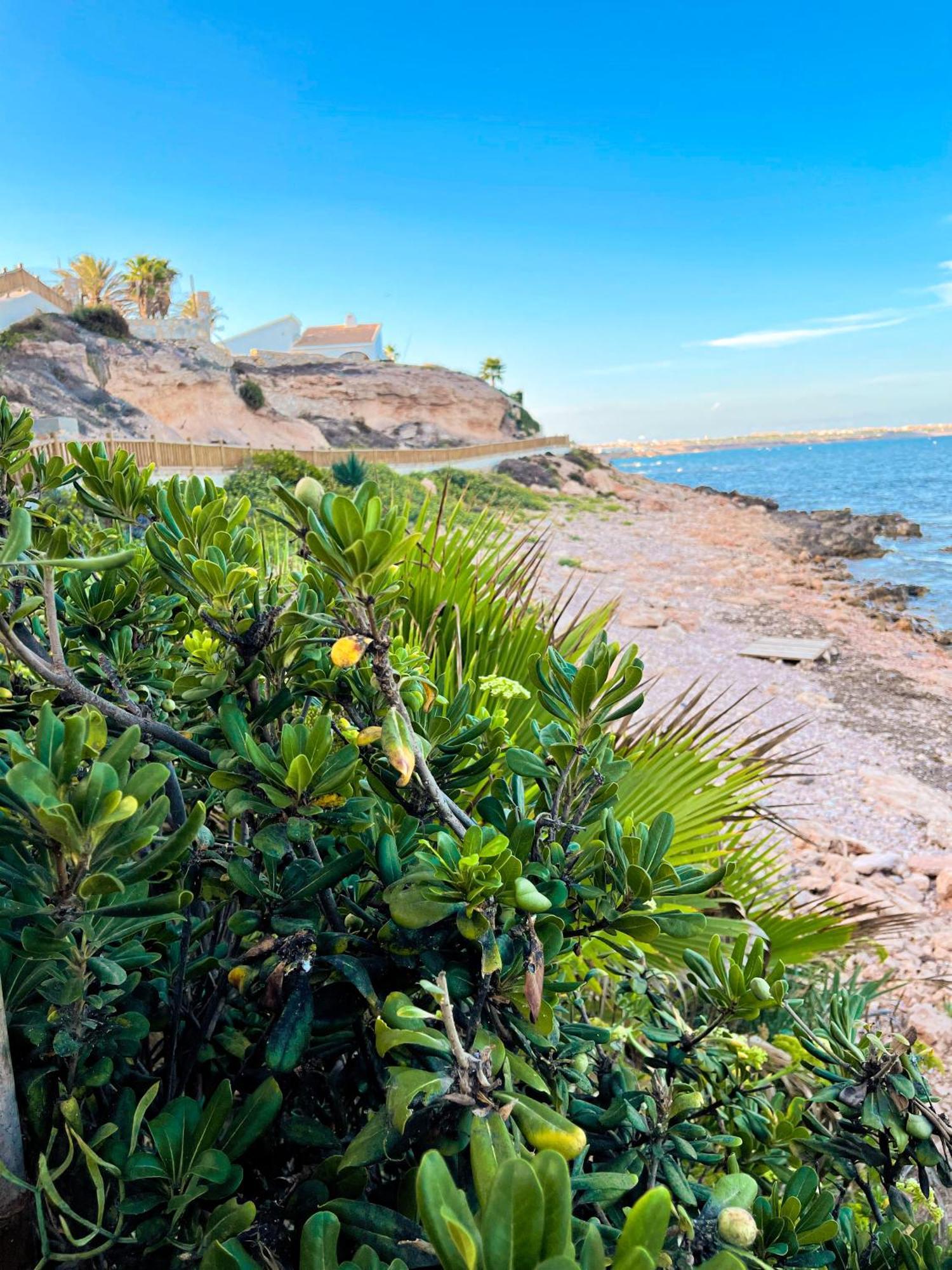 Dehesa de Campoamor Hola Blanca - Sea, Golf, Chillアパートメント エクステリア 写真