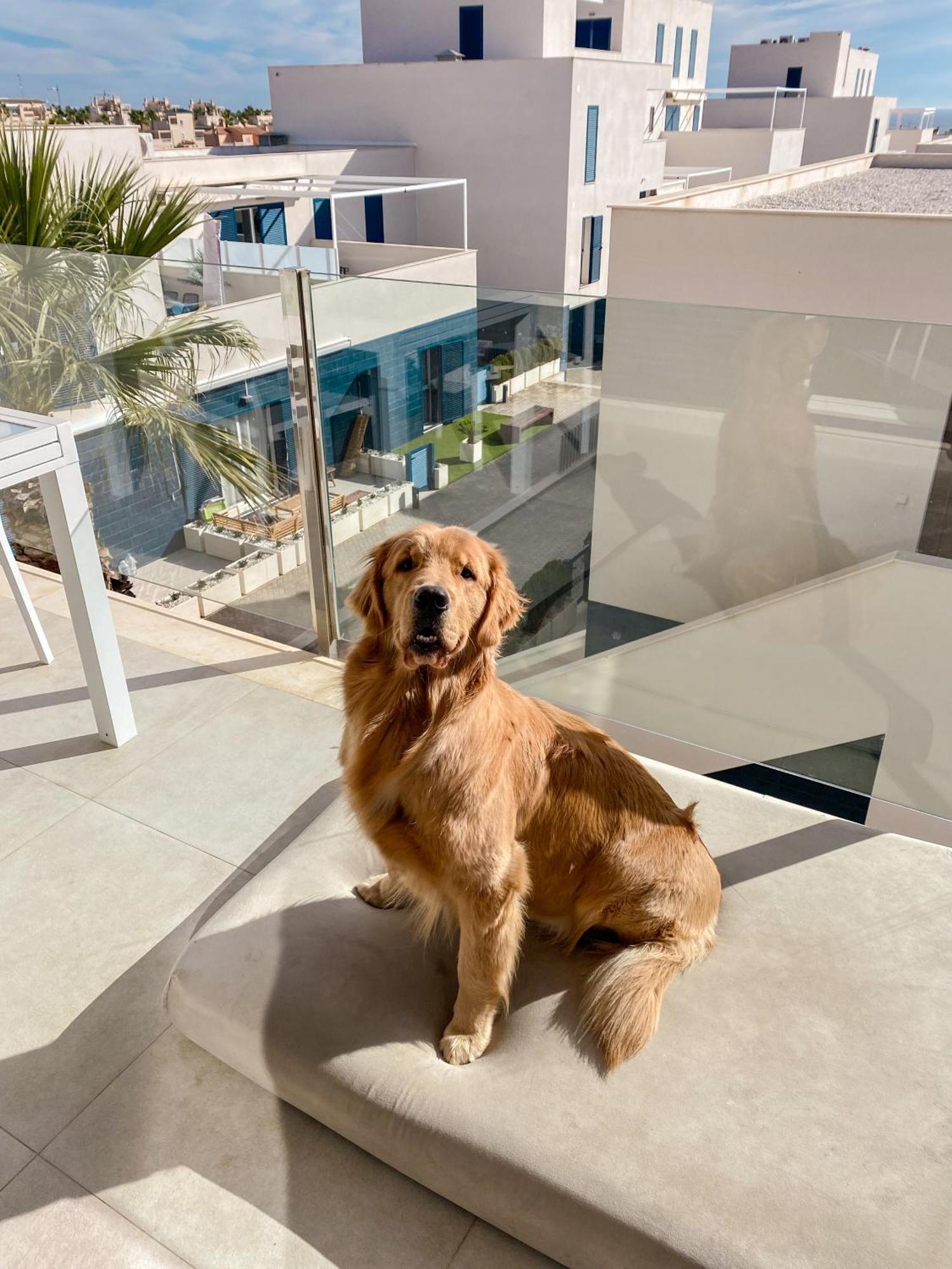 Dehesa de Campoamor Hola Blanca - Sea, Golf, Chillアパートメント エクステリア 写真