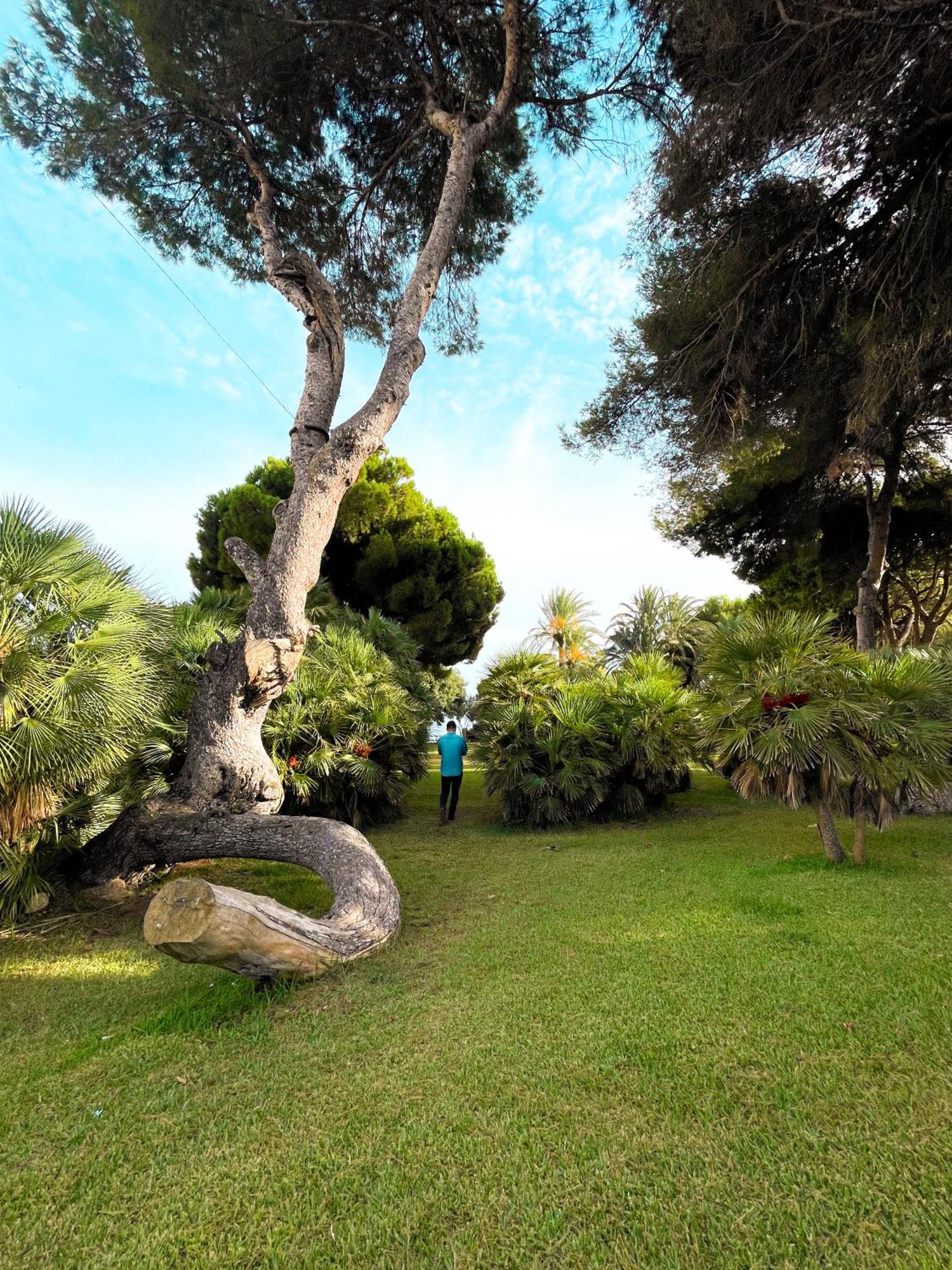 Dehesa de Campoamor Hola Blanca - Sea, Golf, Chillアパートメント エクステリア 写真