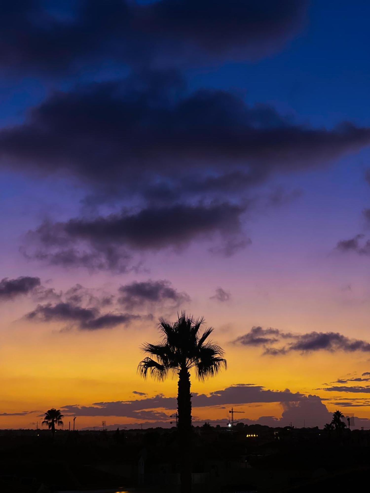 Dehesa de Campoamor Hola Blanca - Sea, Golf, Chillアパートメント エクステリア 写真